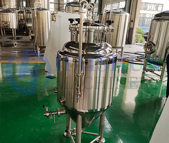 1BBL Fermentation Tanks