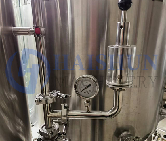 10BBL Fermentation Tanks 