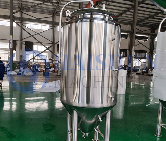 10BBL Fermentation Tanks 