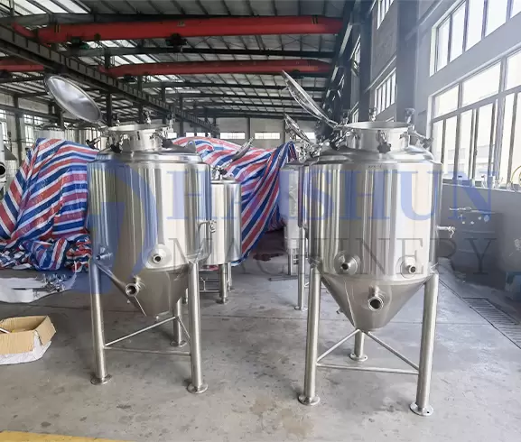 Small Volume, Big Impact: HAISHUN’s 300L Fermentation Tanks for Startups and Craft Producers
